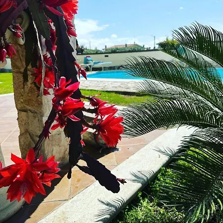 Villa Gold House Luxury