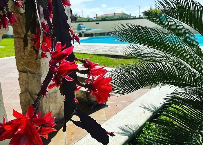 Villa Luxury Gold House